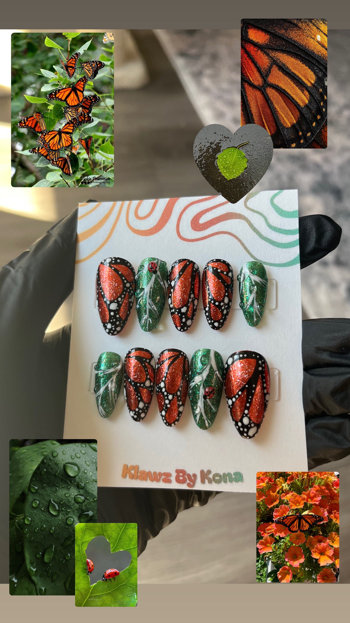 Monarch Flutter