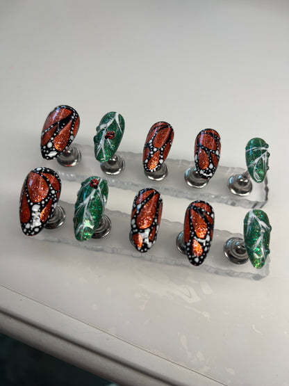Monarch Flutter